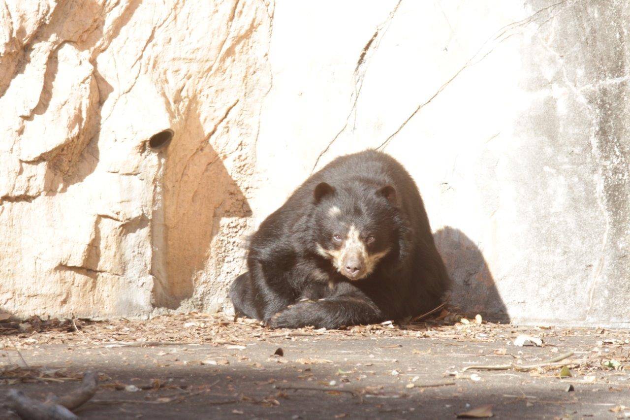 日向で休む美雨②