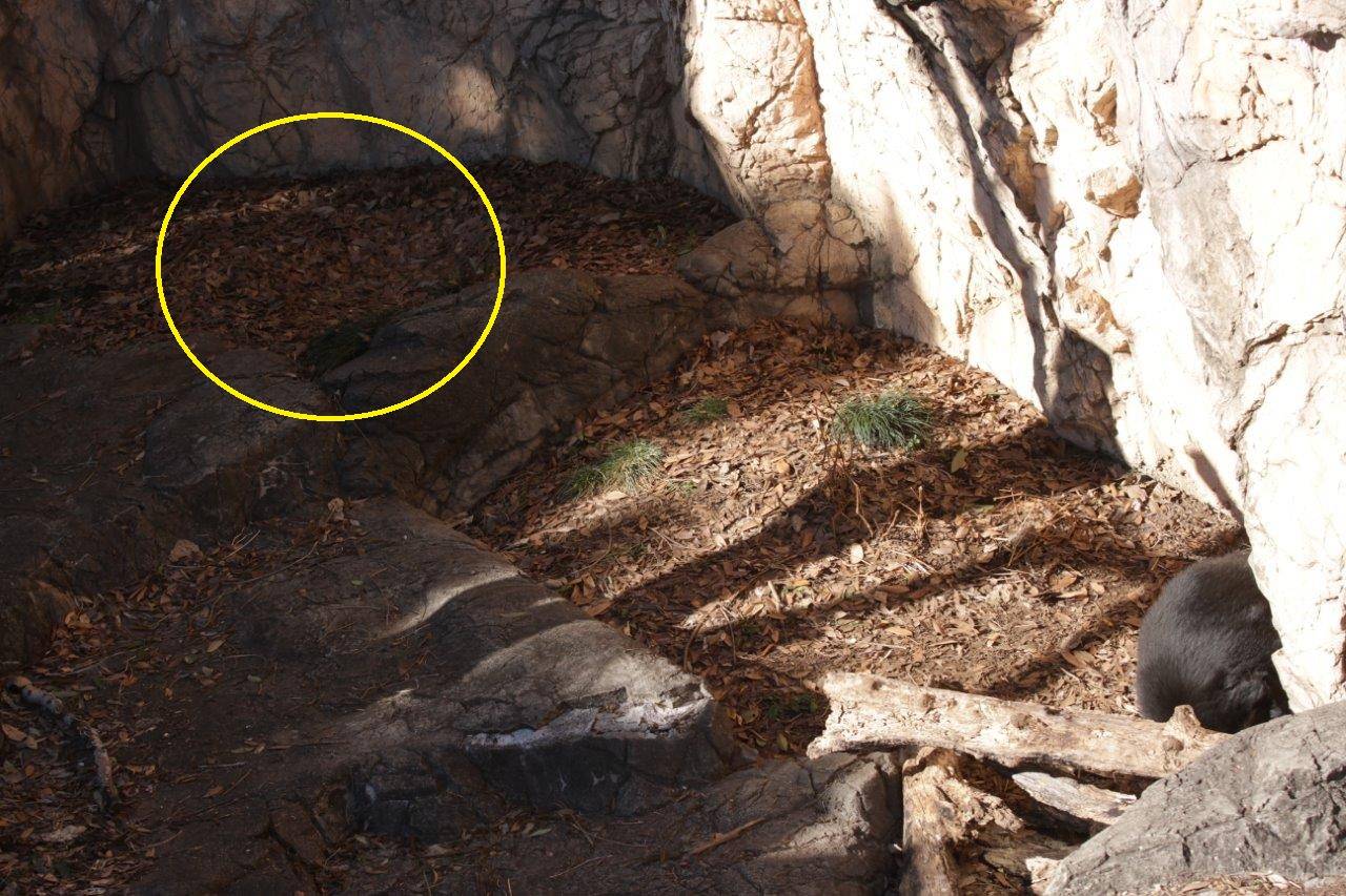 ベットメイキングした場所はいつの間にか日陰に