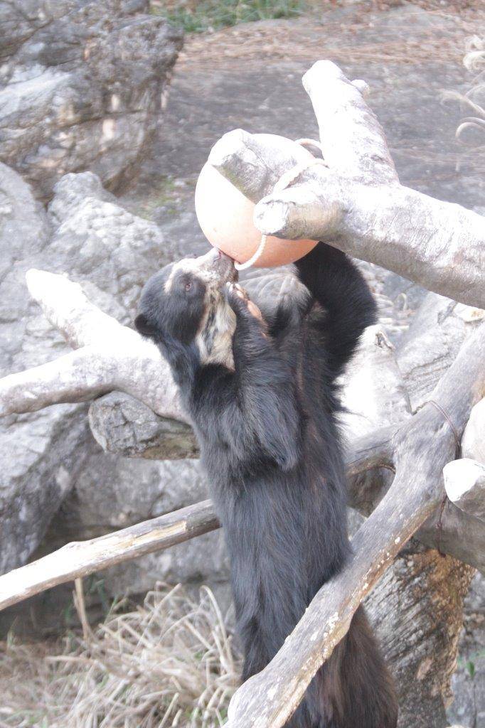 フロートを落とそうとする雪雄②