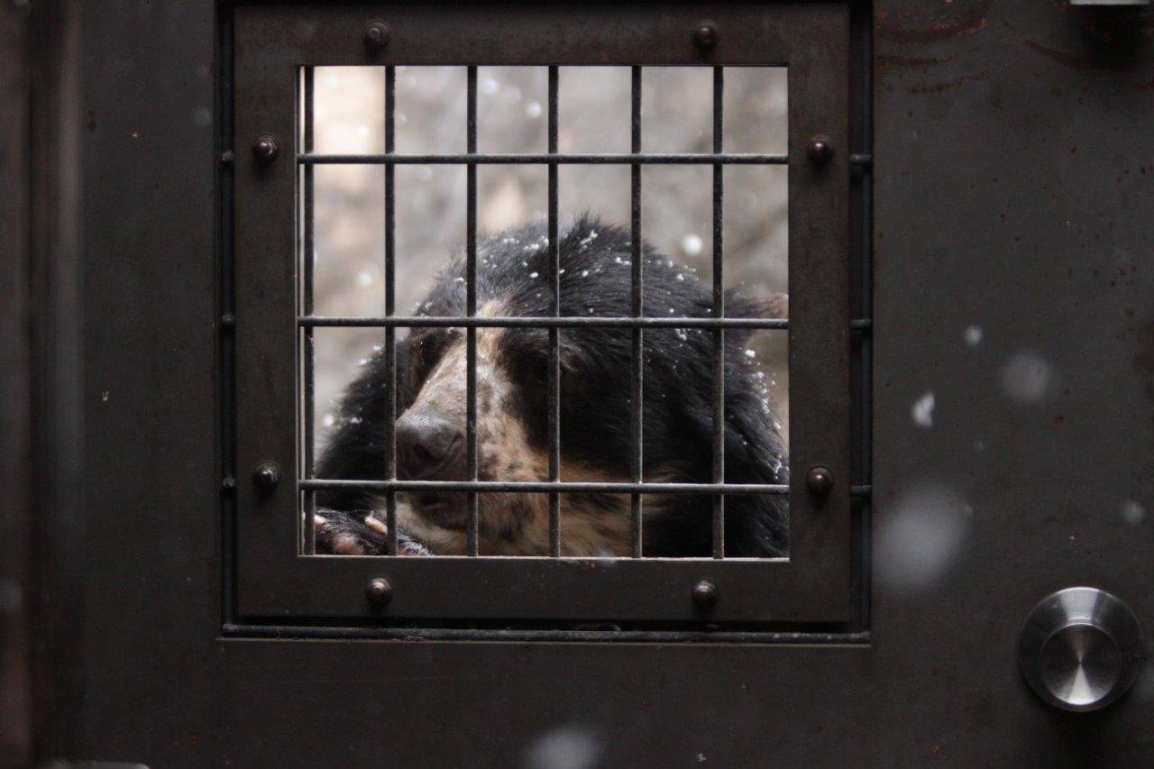 金網越しに中を覗く美雨