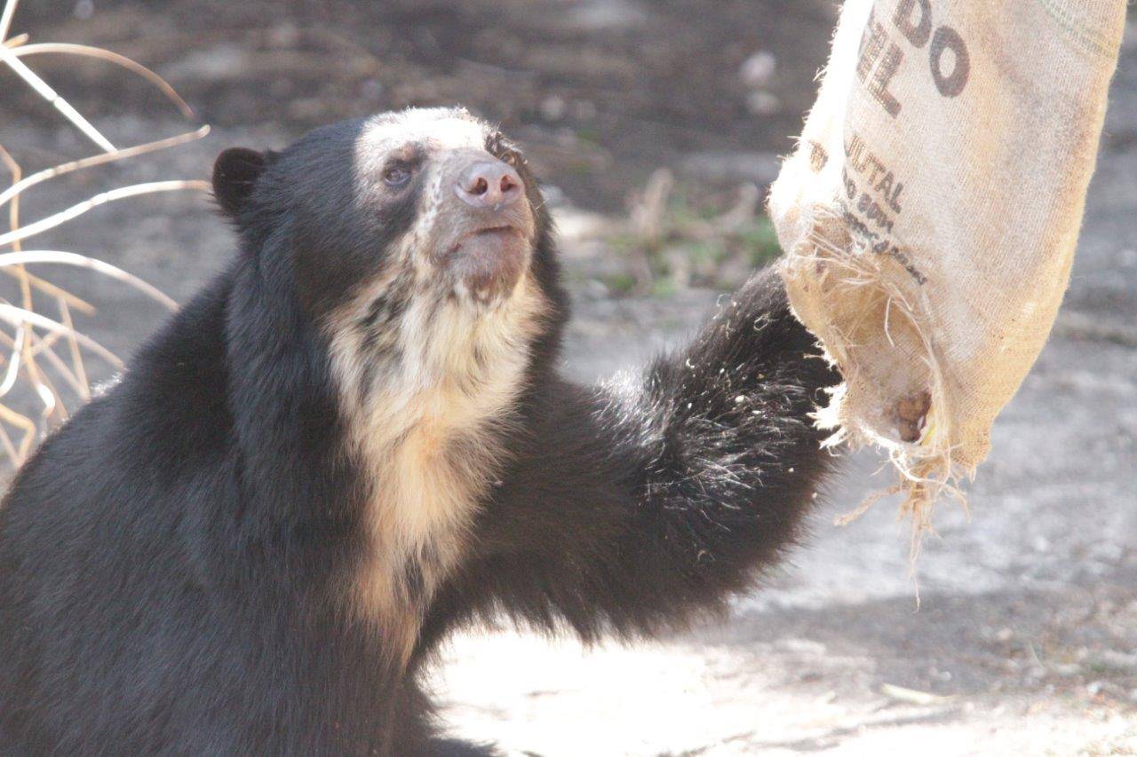 大きな穴が開いた麻袋