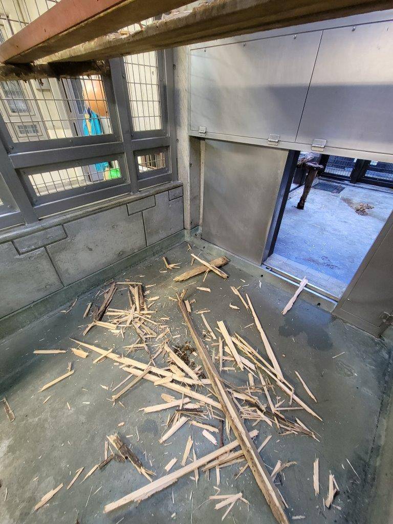 破壊された板の破片②