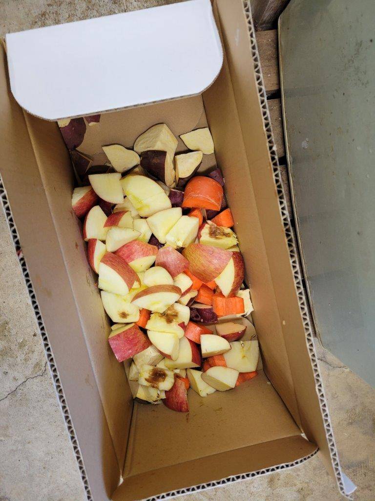 段ボールの中には餌を入れます