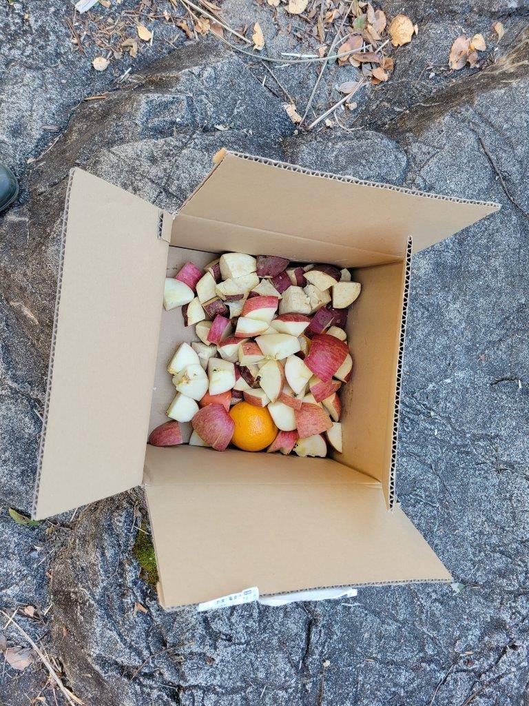 段ボール箱の中には餌が入っています