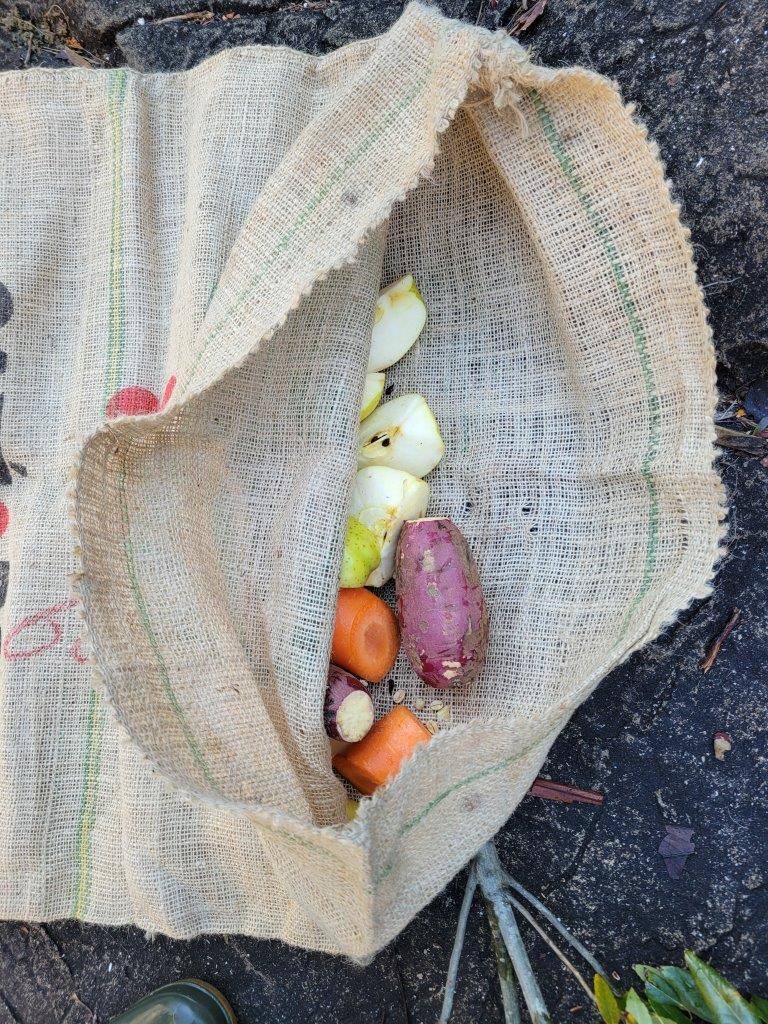 袋の口に近いところに入れられた餌