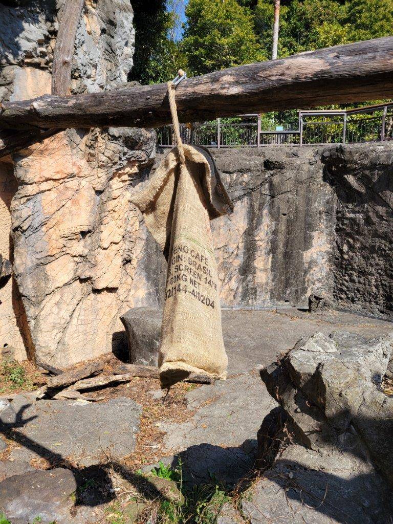 餌の入った麻袋を止まり木に吊るした状態