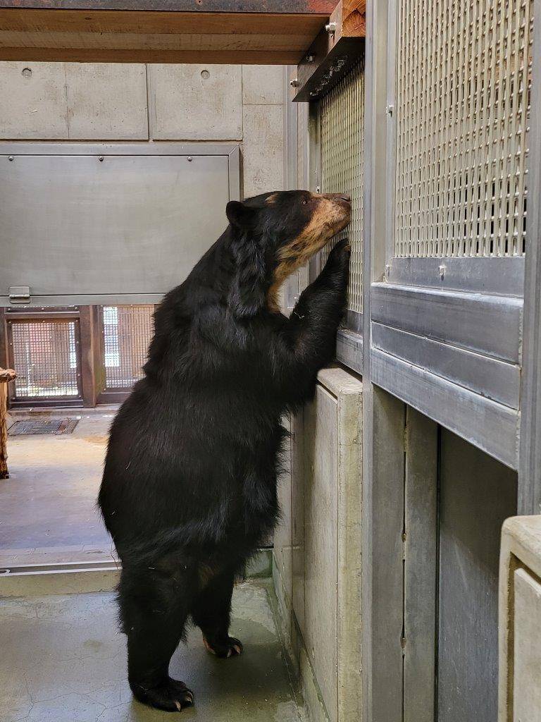 立ち上がって気にする美雨