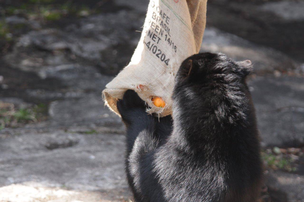 穴の開いた麻袋から餌が見える