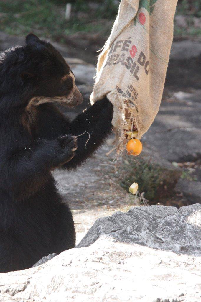 開けられた穴から落ちる餌