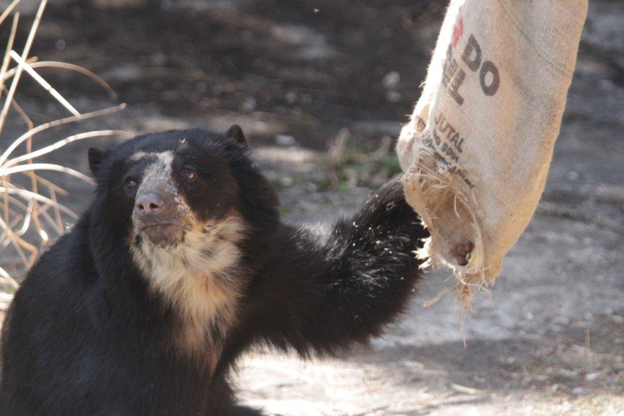 大きな穴が開いた麻袋②