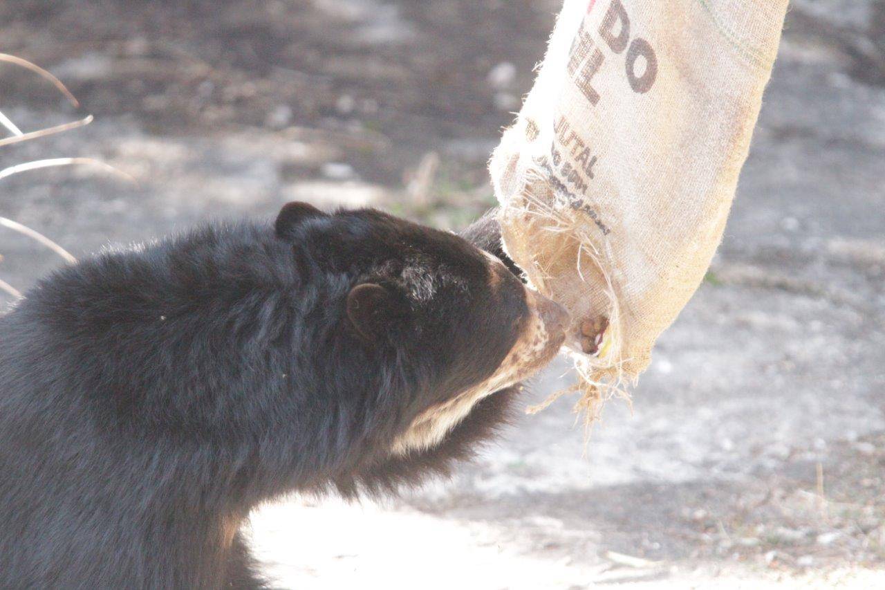 袋内に残ったペレット