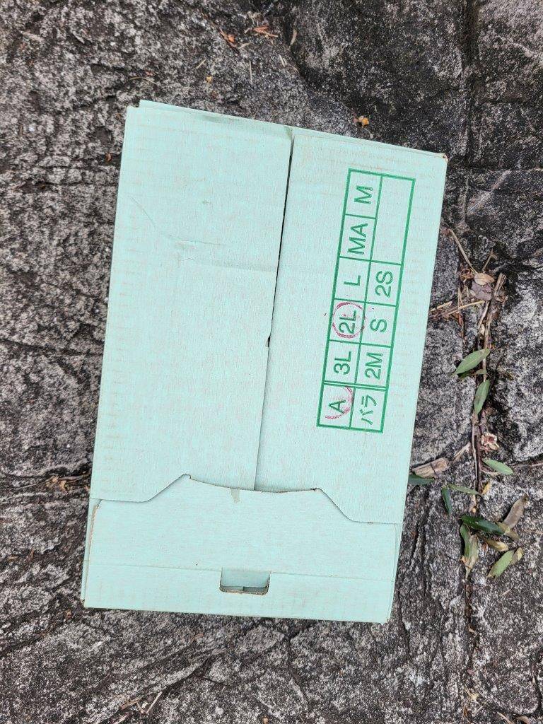 餌を入れた段ボール箱
