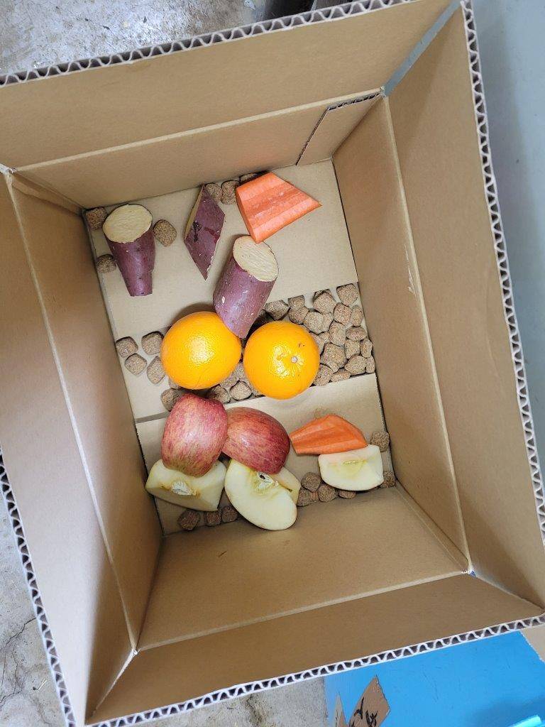 段ボール箱の中には餌が入っています