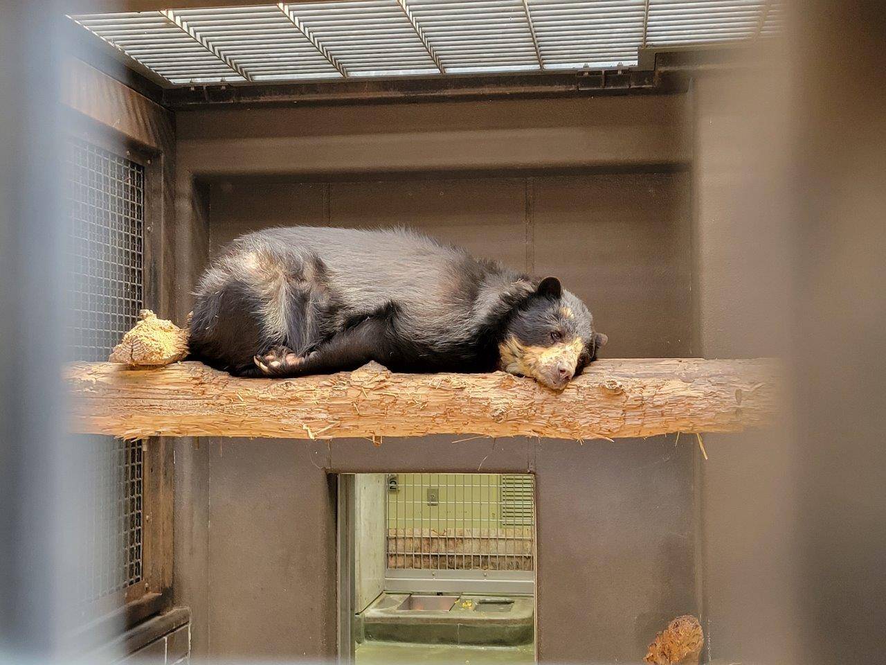 サブ運動場の寝台上で休む美雨①