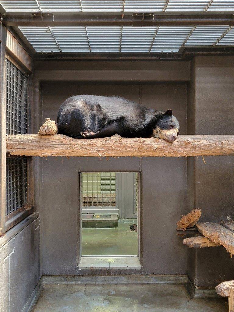 サブ運動場の寝台上で休む美雨④