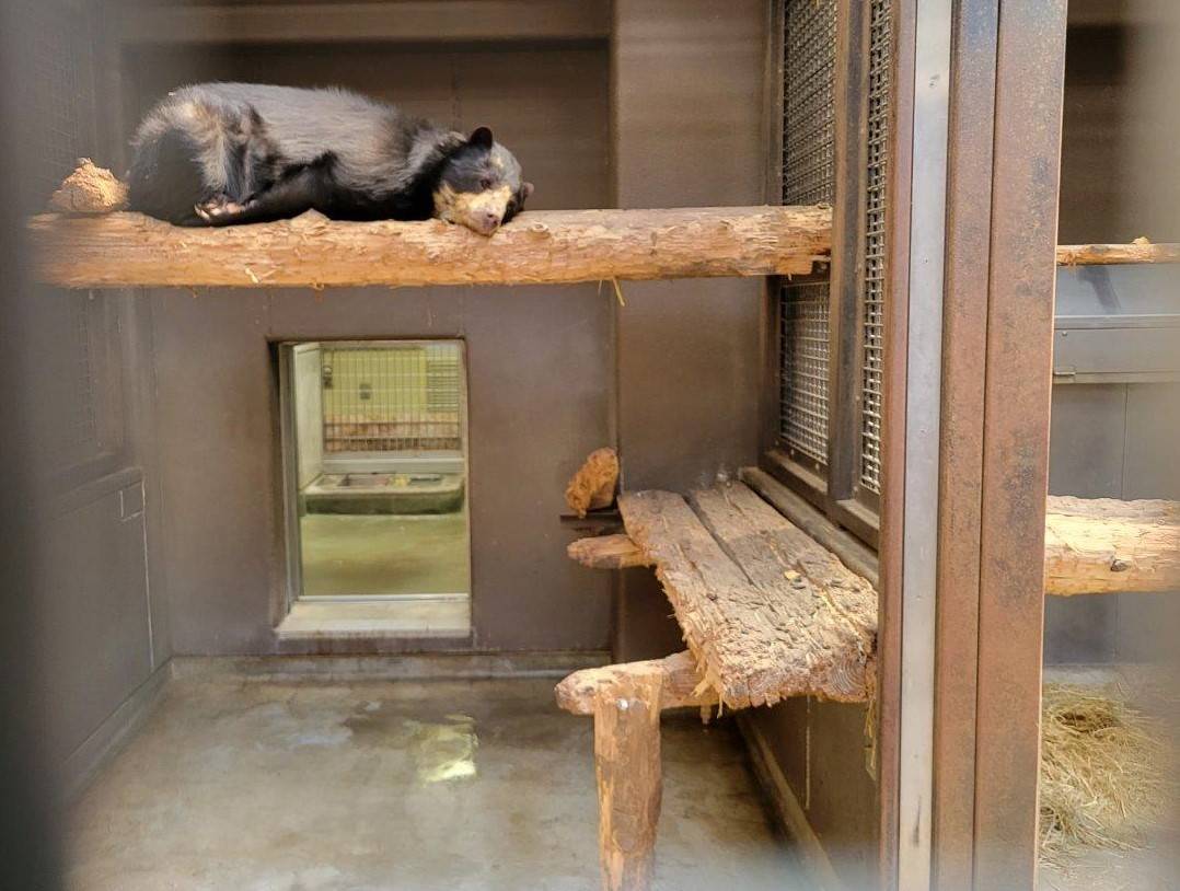 サブ運動場の寝台上で休む美雨⑤