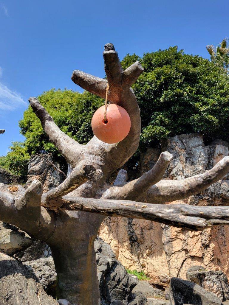 今回吊るした時の様子