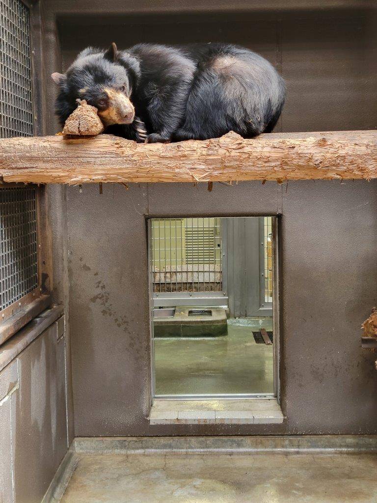 サブ運動場の寝台上で休む美雨④