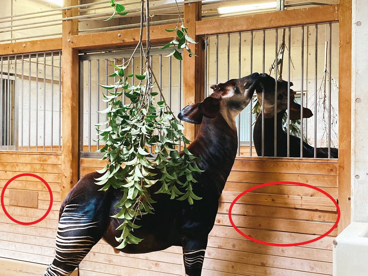 証拠写真.jpg