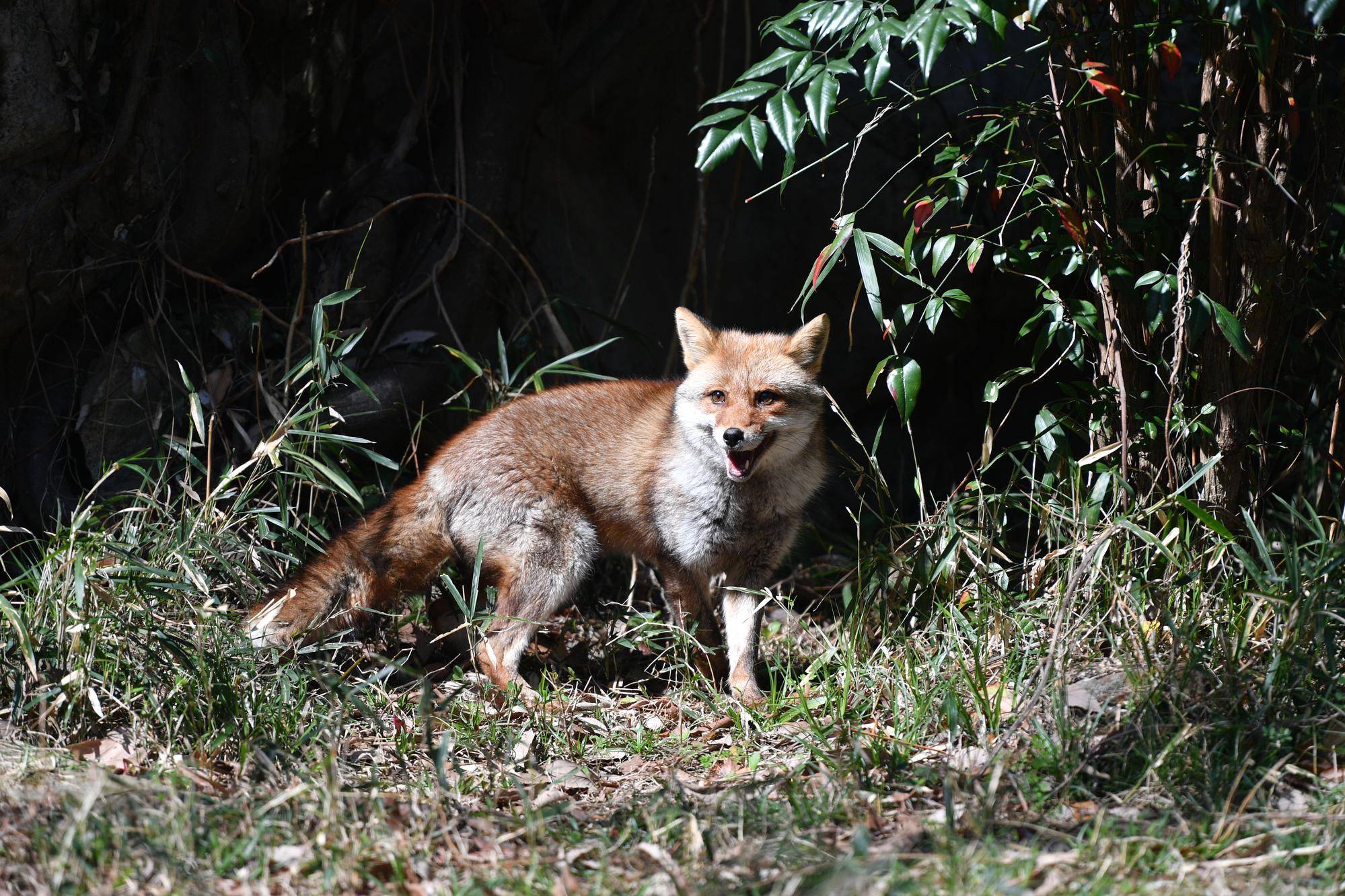 DSC_4023.jpg