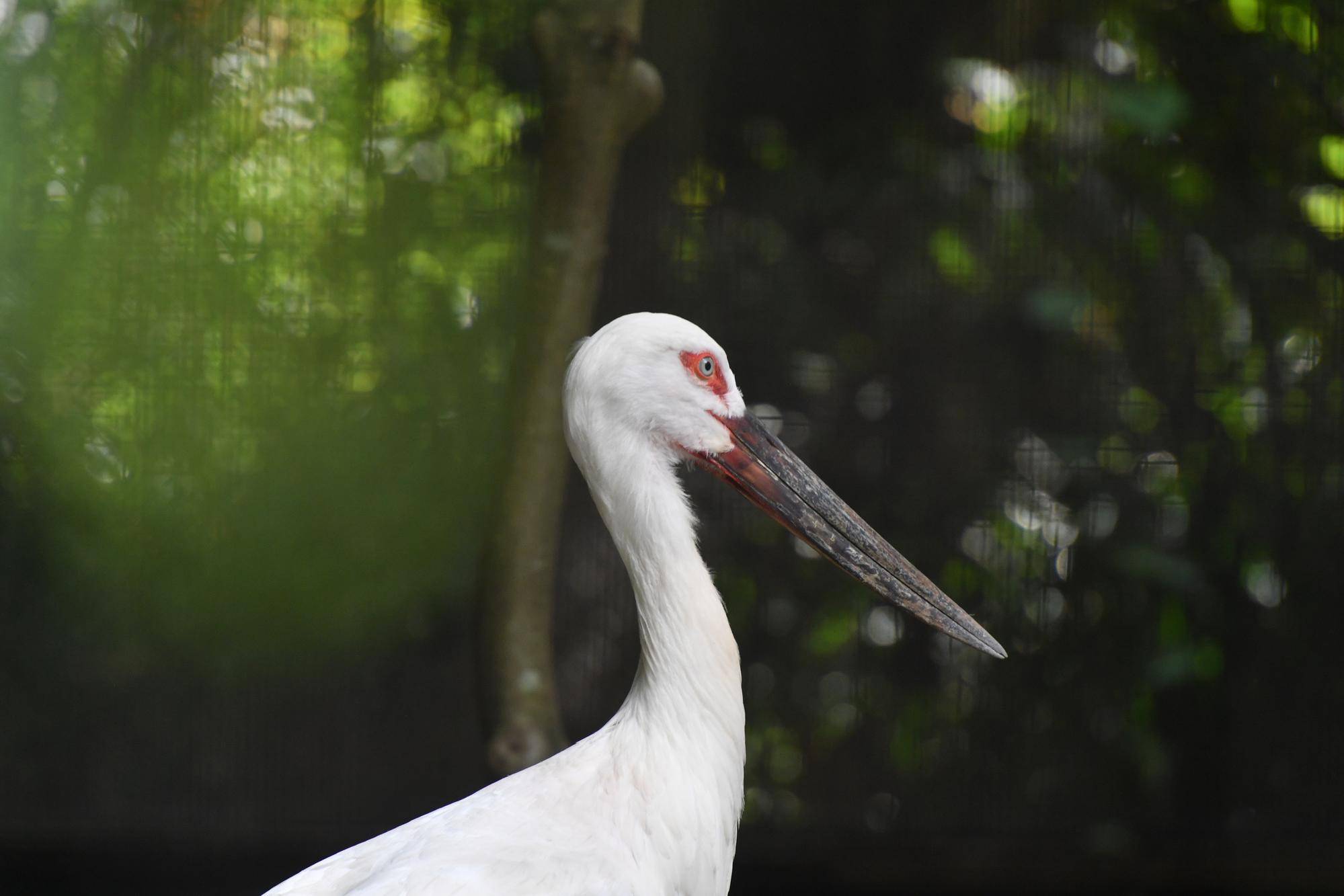 DSC_4876.jpg