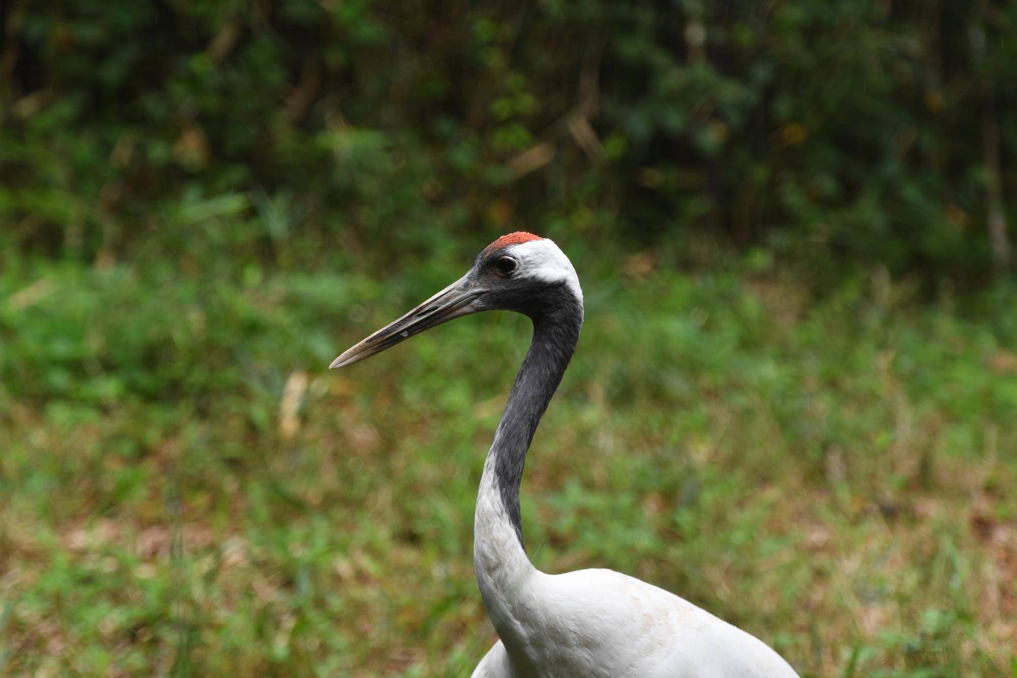 DSC_5183.jpg