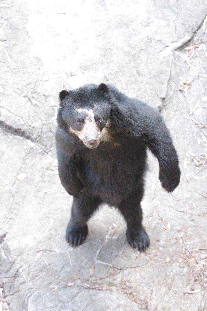 立ち上がる雪雄⑥