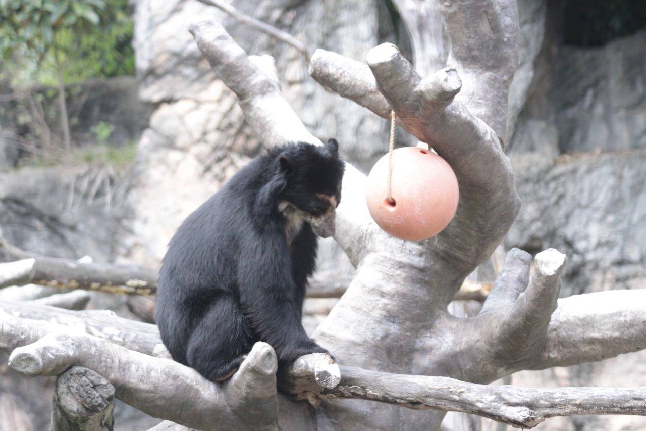 フロートを眺める雪雄