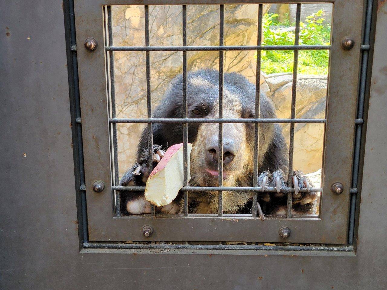 扉の窓からイモを貰った美雪②