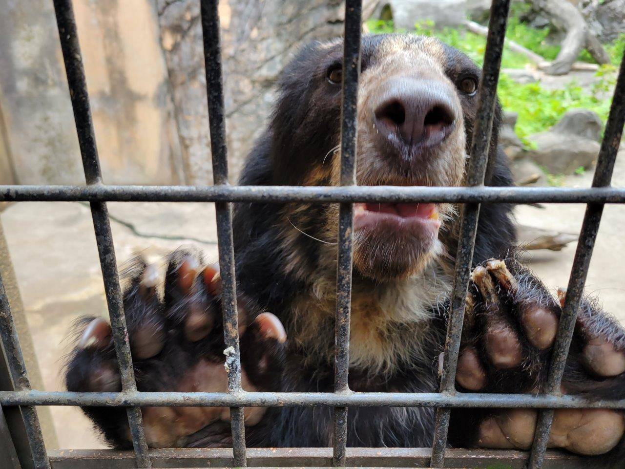 餌を求める美雪