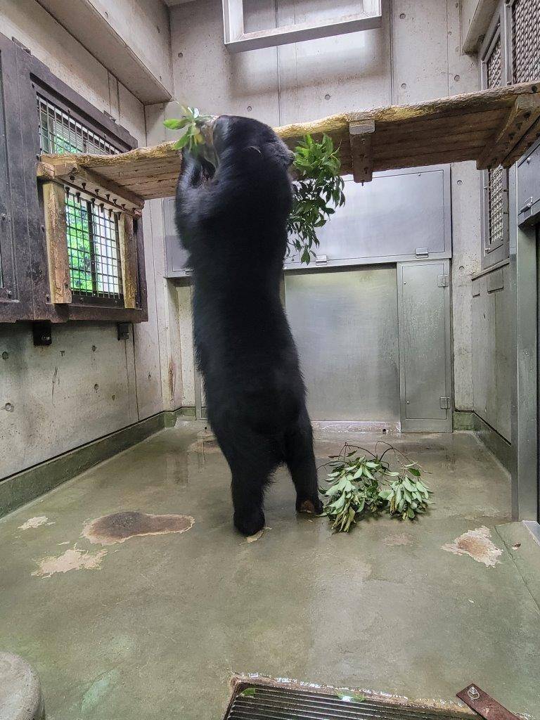 立ち上がって寝台上のカシを落とす美雪
