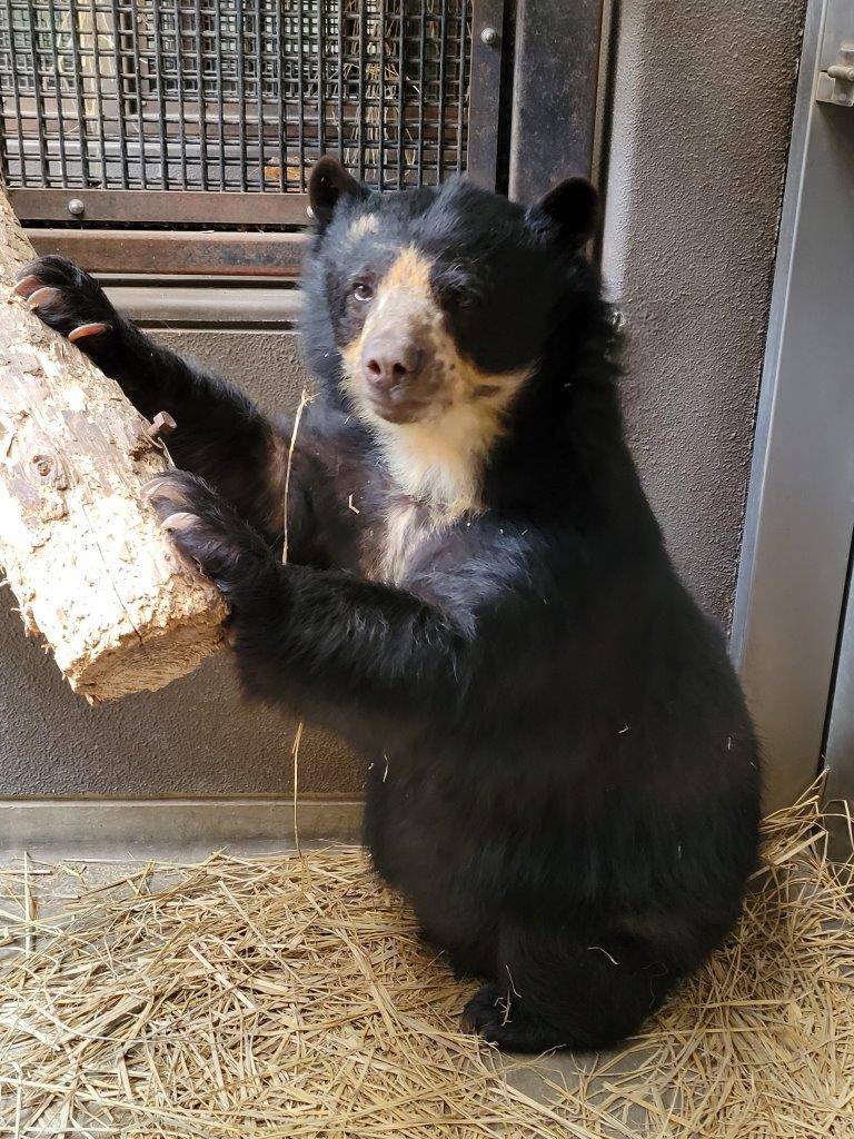 座った姿勢で丸太に両手をかける美雨①