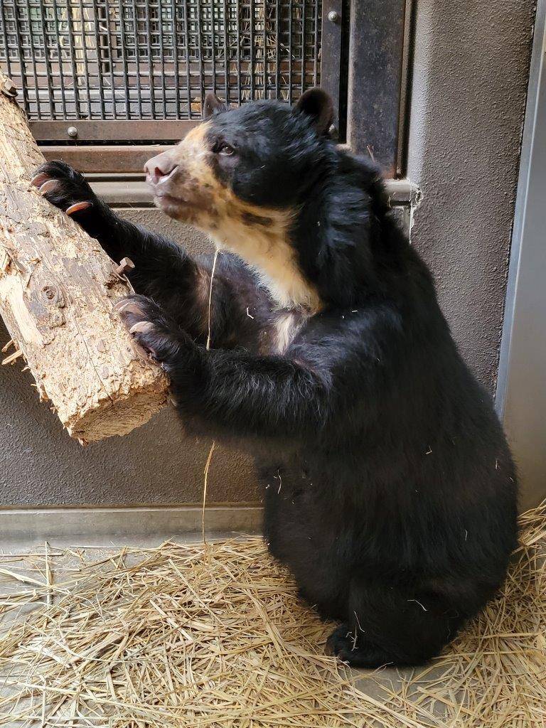 座った姿勢で丸太に両手をかける美雨②
