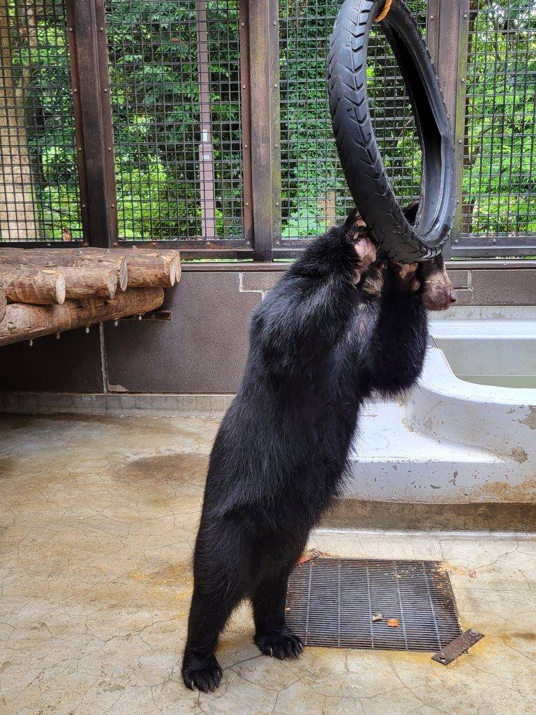 立ち上がってタイヤを気にする美雪⑤