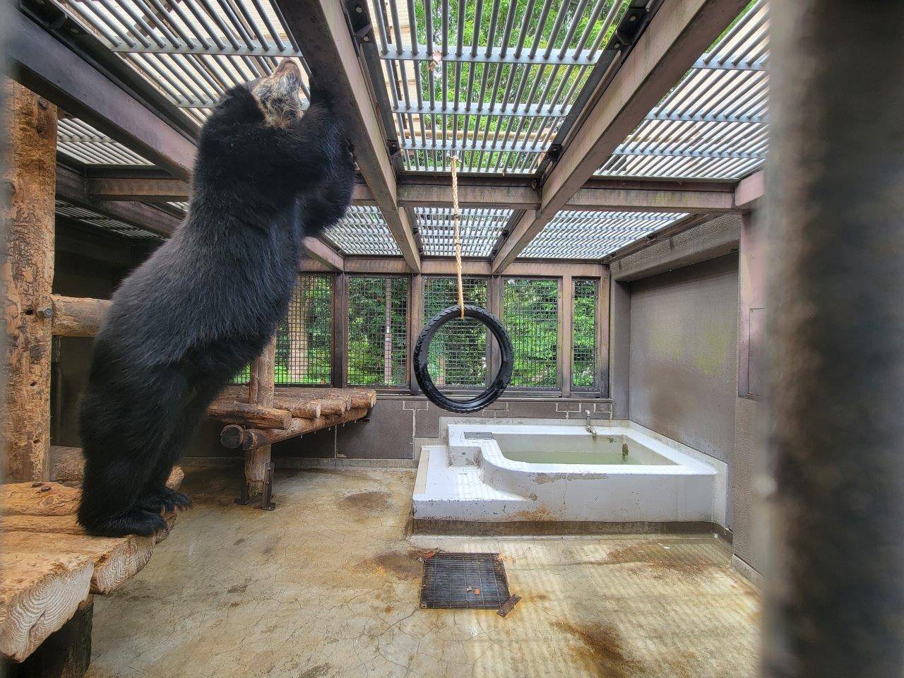 寝台上からタイヤを気にする美雪①