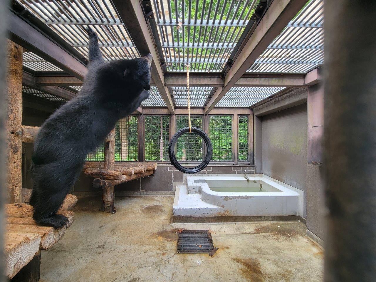 寝台上からタイヤを気にする美雪②