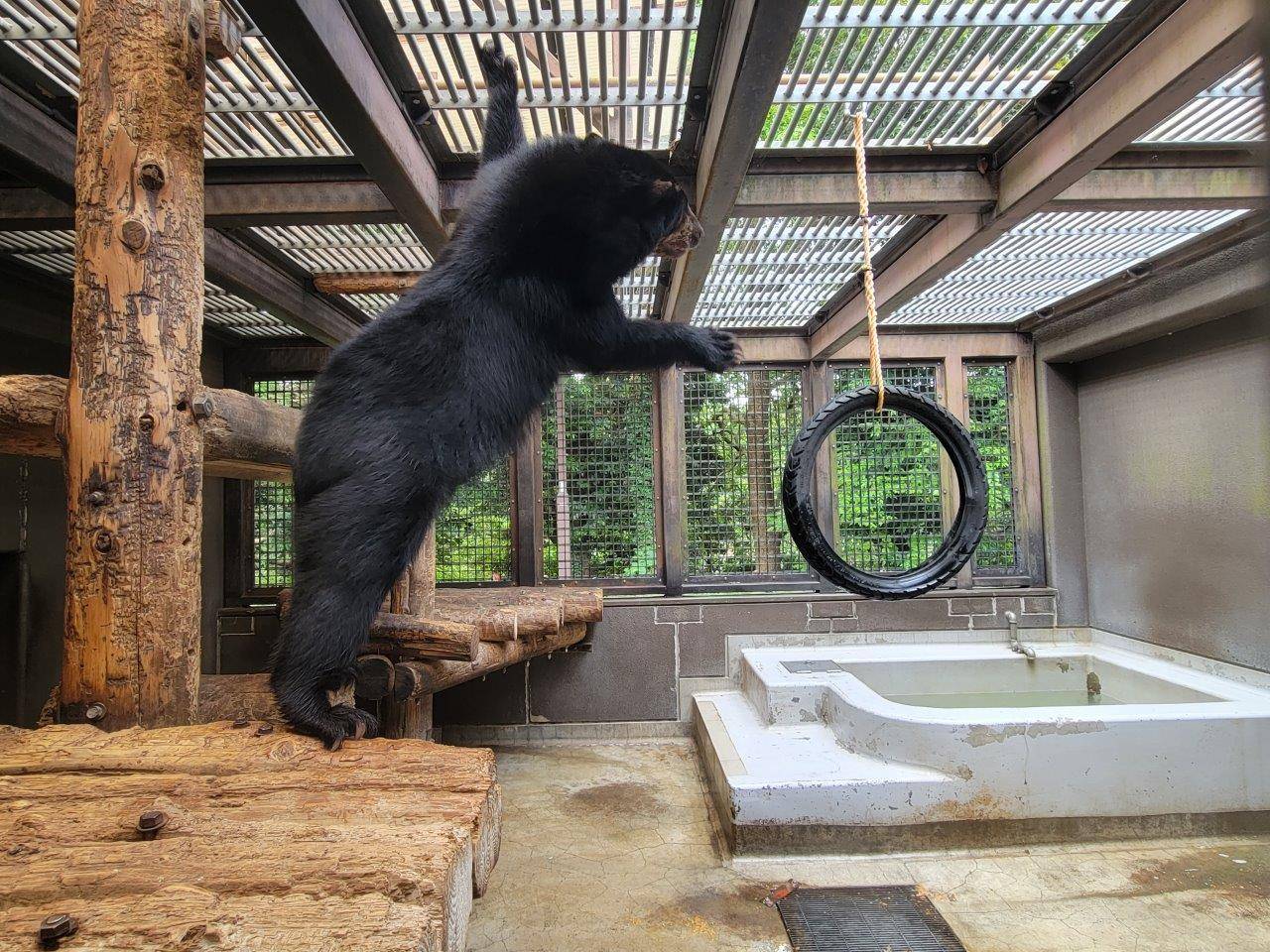 寝台上からタイヤを気にする美雪⑤