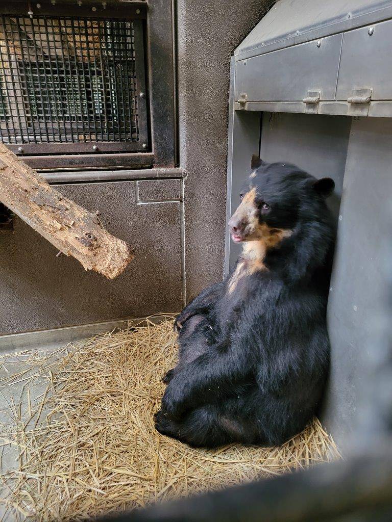 丸太の前で座る美雨