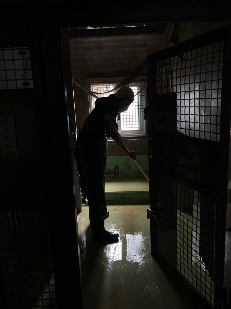停電の中、チンパンジーの部屋を掃除をする飼育員.jpg