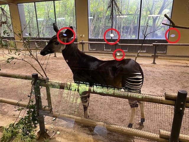 IMG_6006 - コピー.jpg