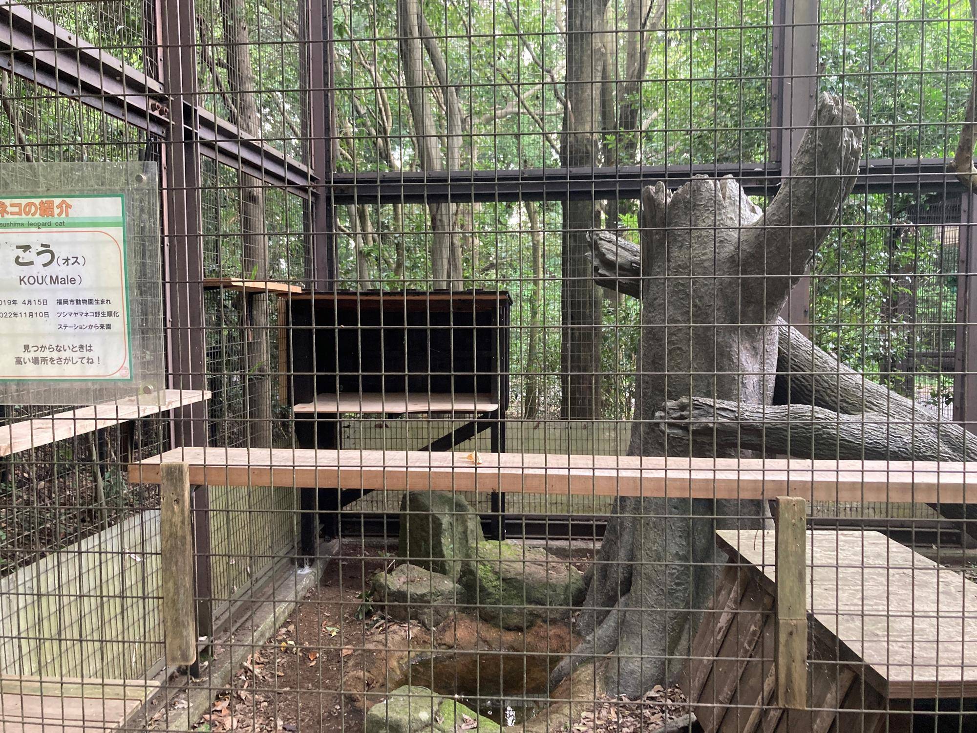 jtpd様確認用ページ【藁アニマルオブジェ2体】 jtpd様確認用ページ【藁アニマルオブジェ2体】 jtpd様確認用ページ【藁