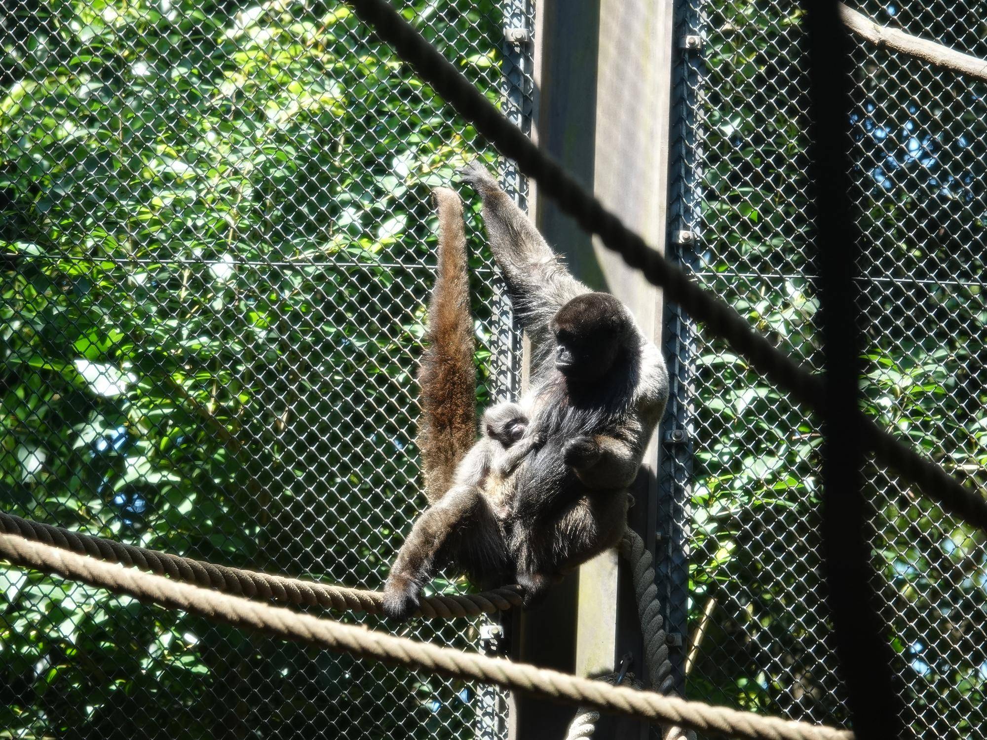 工事のお知らせ３