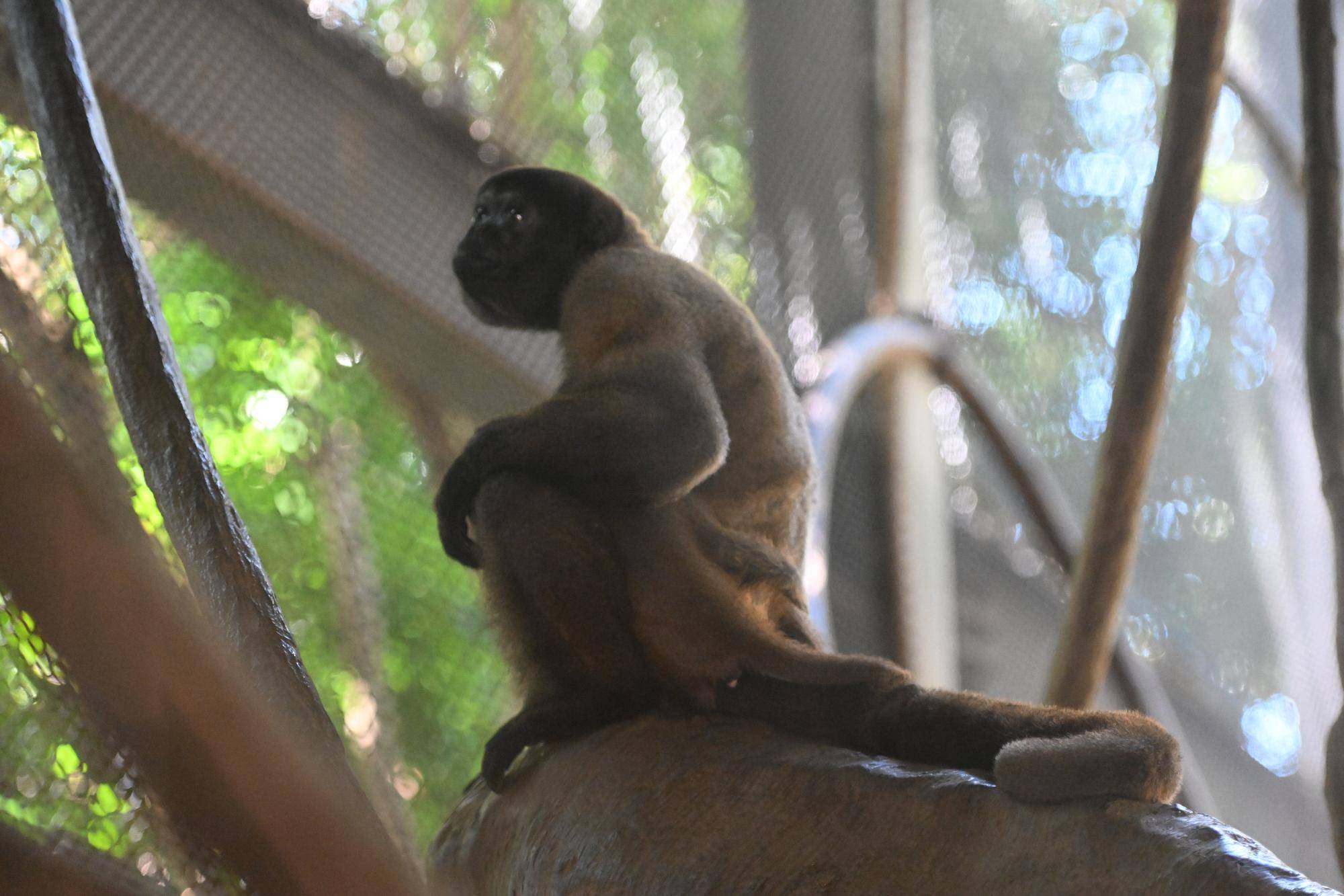 工事のお知らせ２