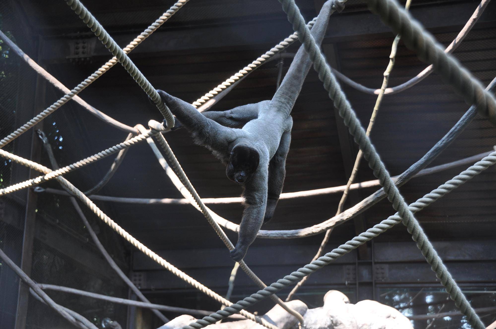 工事のお知らせ①