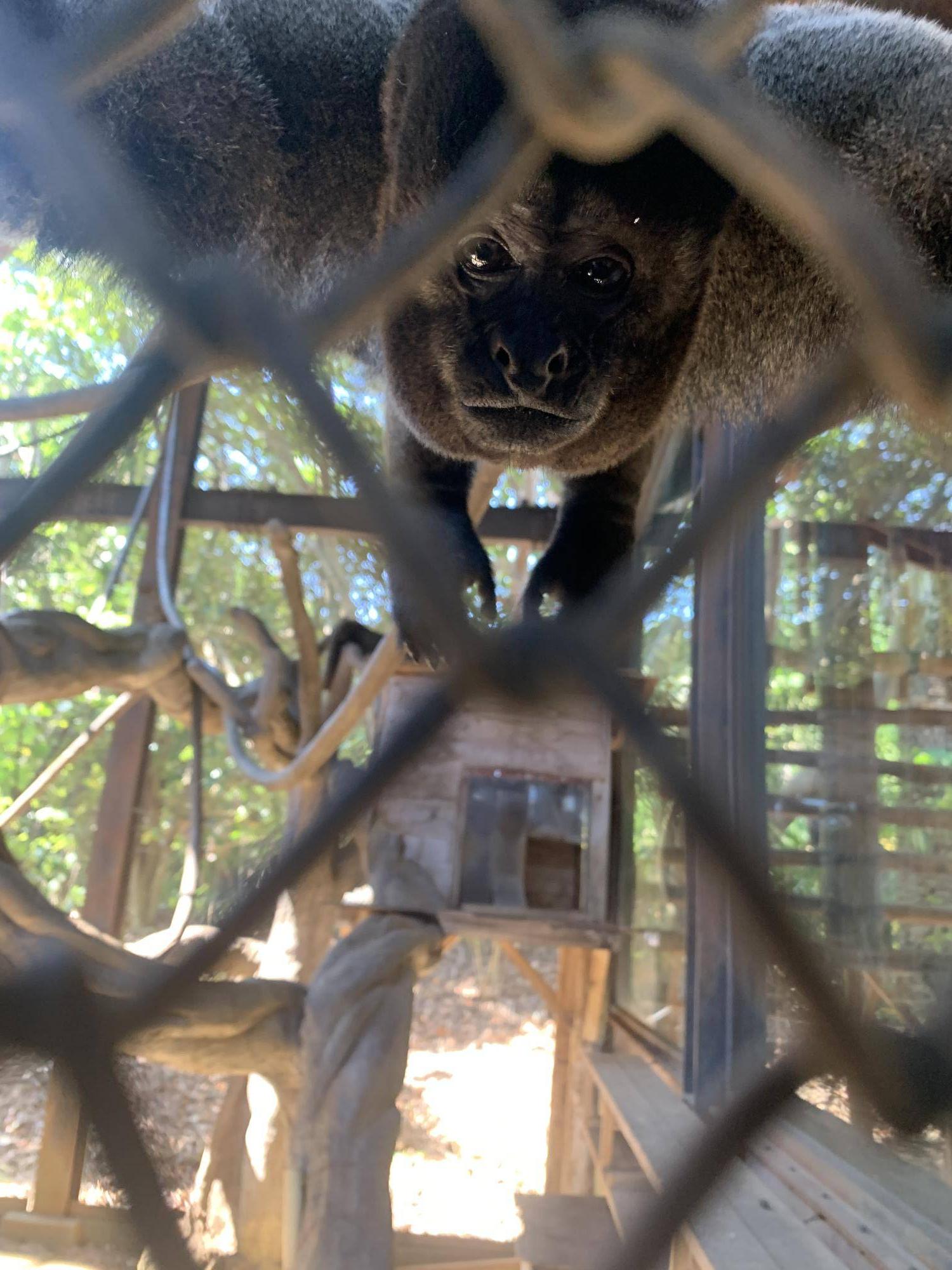 全頭そろいました！４