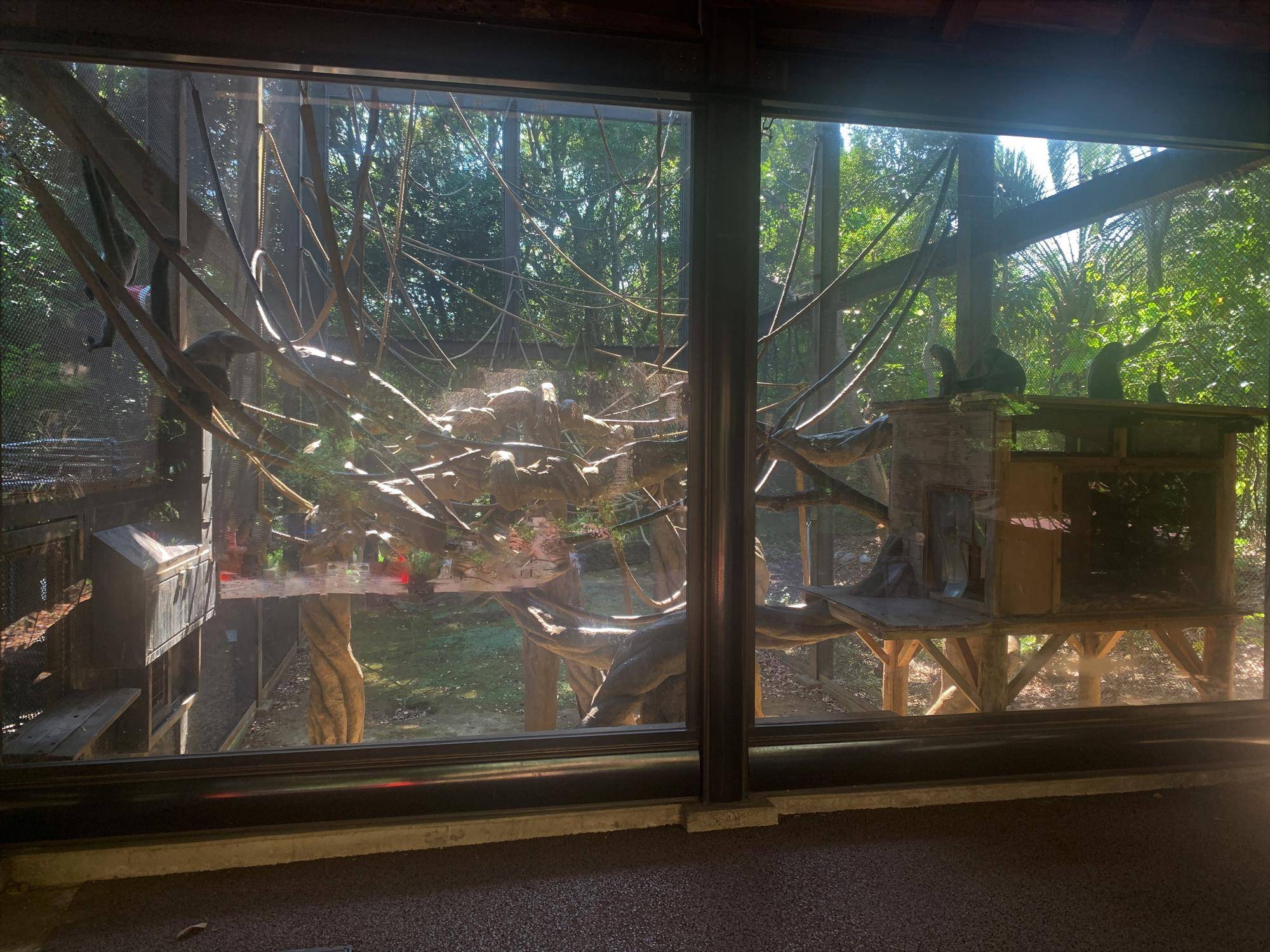 全頭そろいました！１