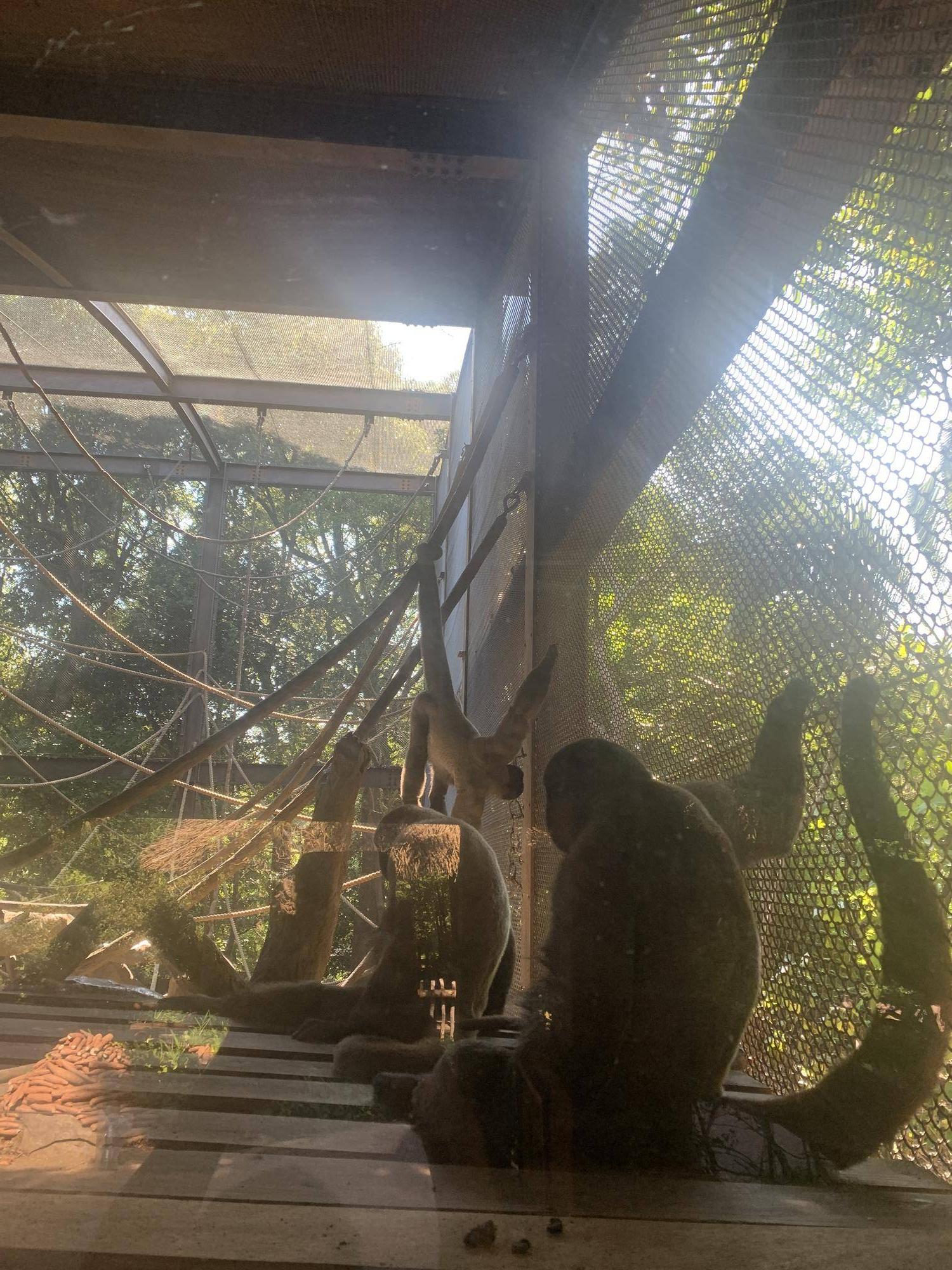 全頭そろいました！６