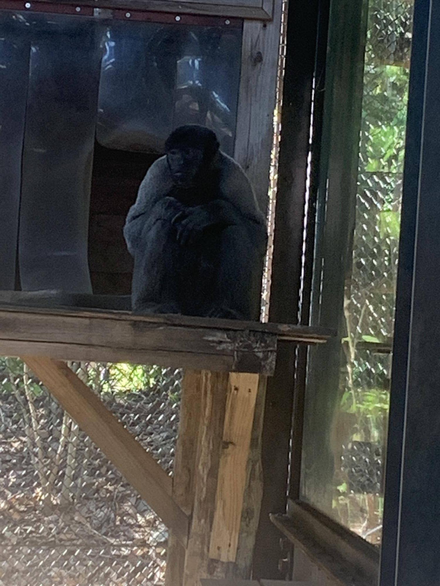 全頭そろいました！５