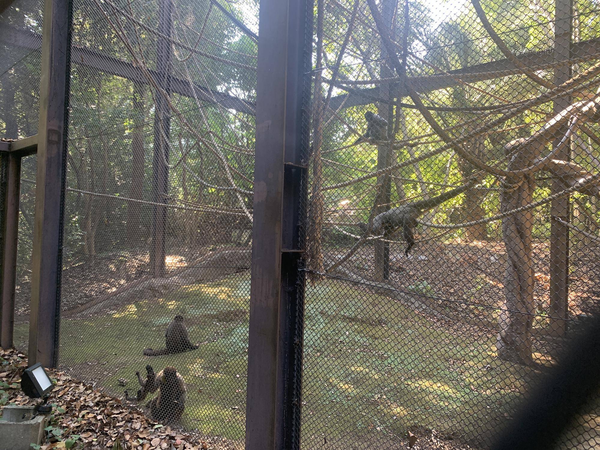 全頭そろいました！３