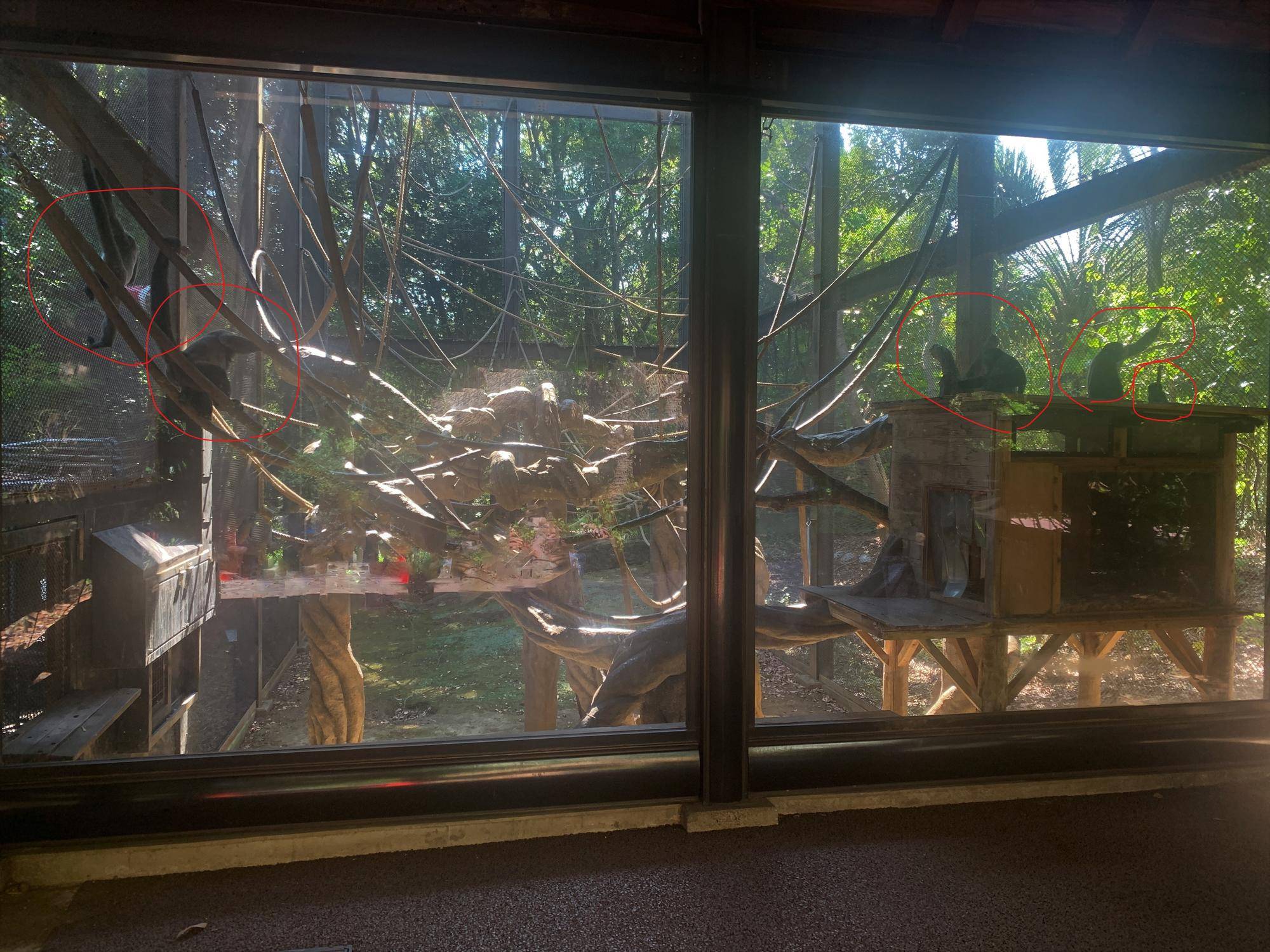 全頭そろいました！２